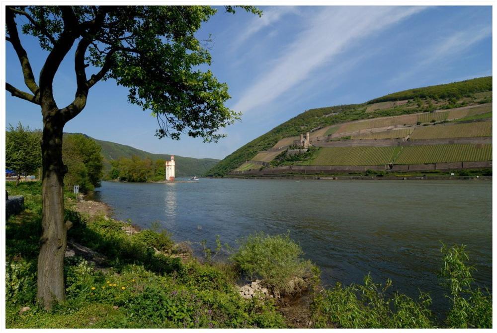 Hotel Cafe Post Rüdesheim am Rhein Exteriör bild